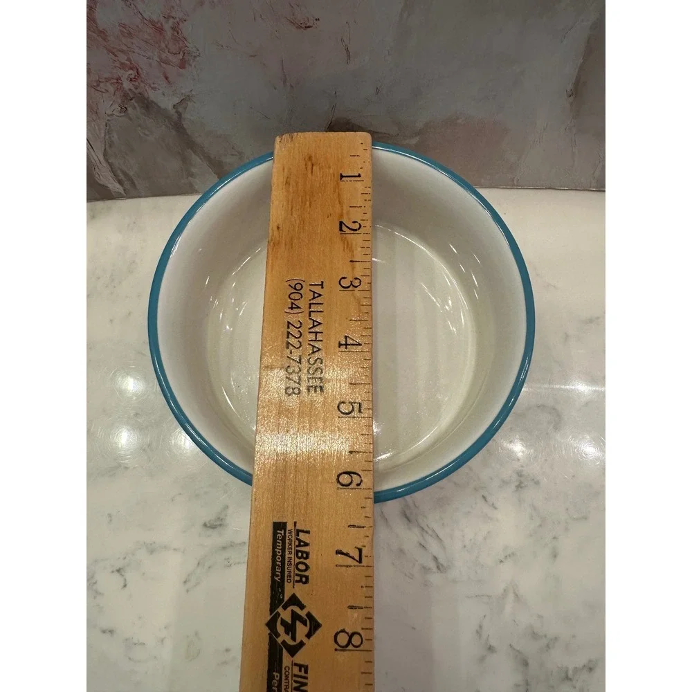 Disney Parks Lady and the Tramp L'eau Ceramic Pet Water Bowl White Teal 6in New